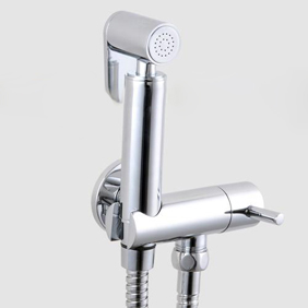 Contemporary Solid Brass Bidet Tap Chrome Finish DS002
