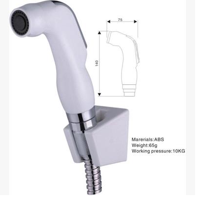 Hand Held Bidet Spray Silver DA006 - Click Image to Close